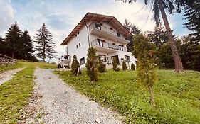 Casa dintre Brazi